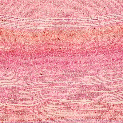 Autobiography of Alice B. Toklas - detail 1