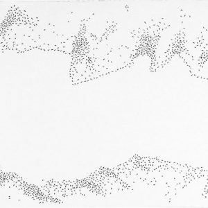 Views of the Bosphorus - Sariyer