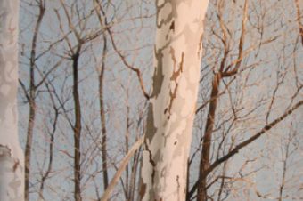 Charlie Pitcher: The Last Pitcher Show, World West Galleries